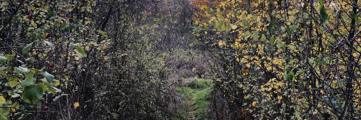Hüttengrund Wanderweg
