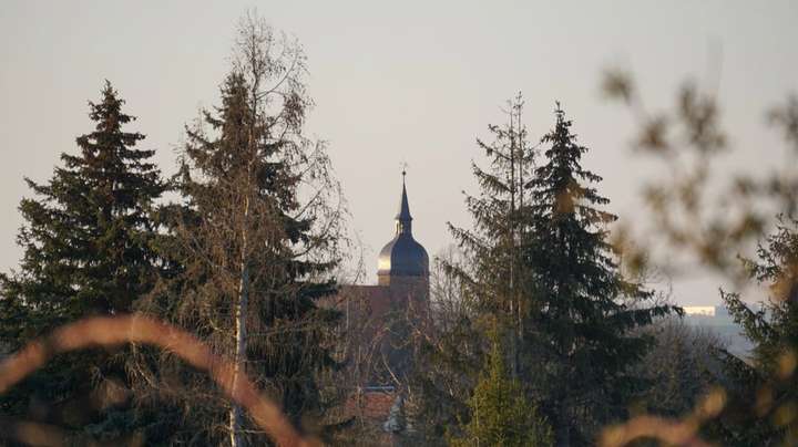 Heimatverein-Helfta Impression Foto 14